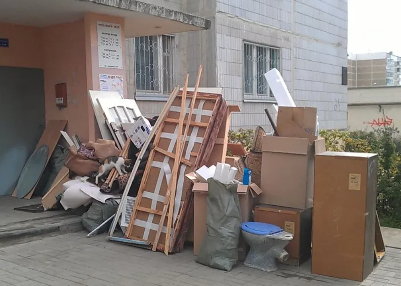 Профессиональный вывоз мусора из квартиры в Урае в октябре