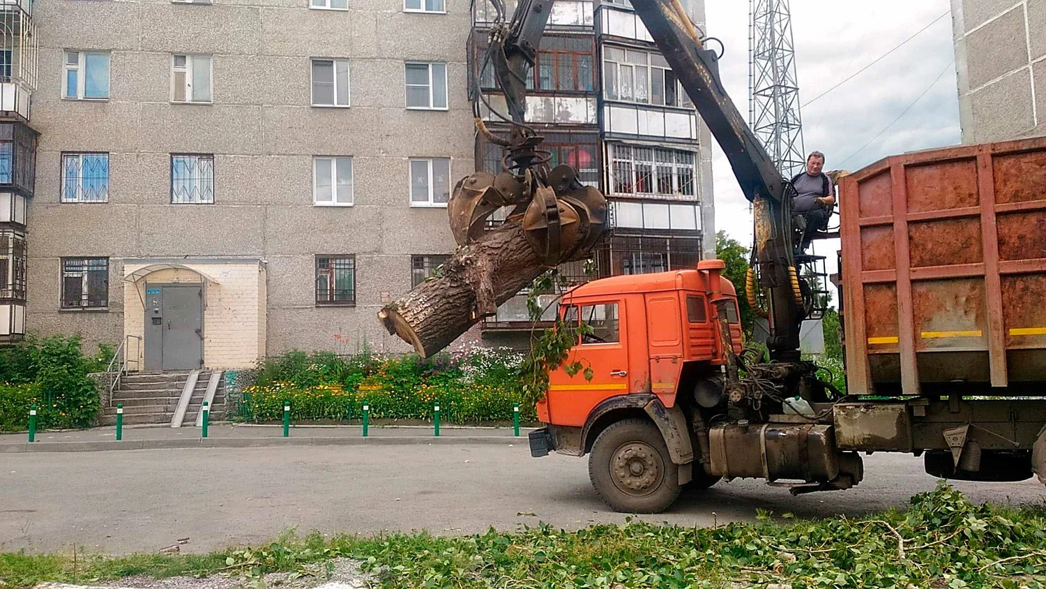Вывоз спиленных веток и деревьев в Урае от ПроМусор: порубочные остатки, утилизация, цена от 3022 руб