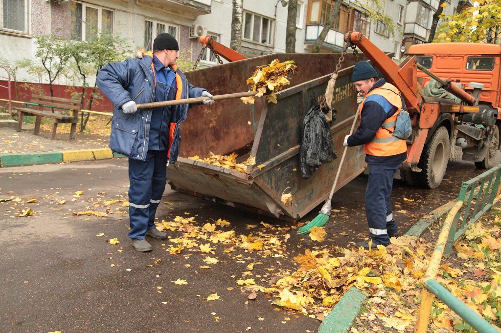 Вывоз опавшей листвы и растительного мусора в Урае от ПроМусор – цена от 4689 руб., быстрая уборка и утилизация